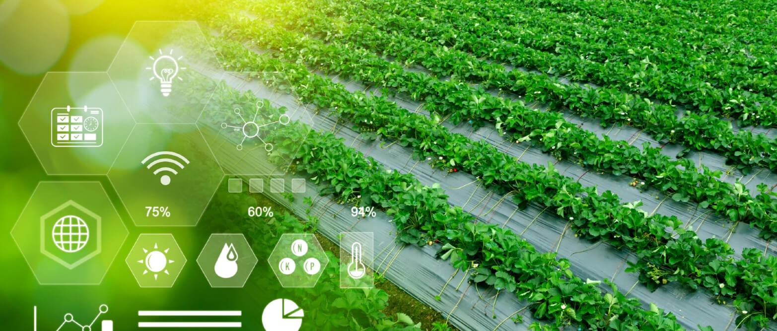 Development of Agricultural Technologies